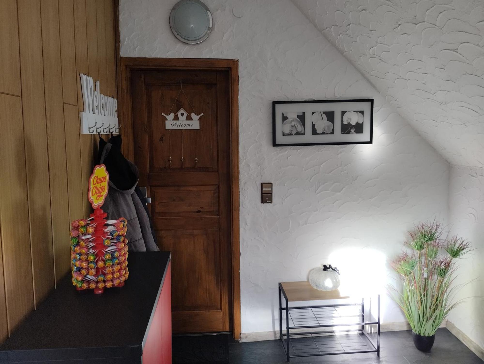 Ferienwohnung Am Vulkanpfad Ettringen エクステリア 写真